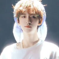 Hạ Tuấn Lâm