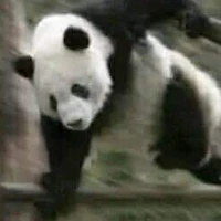 Lính gác