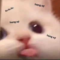 nhỏ t/g nèee