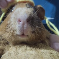 nhìn mặt uy tín liền