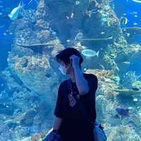 Nguyễn Đức Minh Sơn