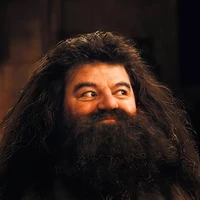 bác Hagrid