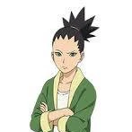 Shikadai