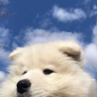 Windy