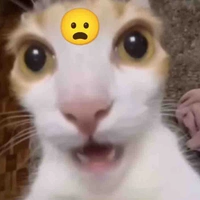 All 