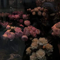 All top(- một số người)