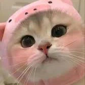 Hệ thống 1