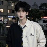 Lưu Song Tử_@haimatketao(bot)