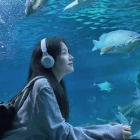 Võ Diệp Anh (Mây)