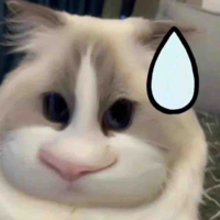 hệ thống mèo =)))