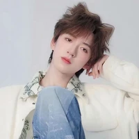 Hạ Tuấn Lâm