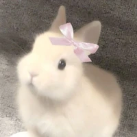 Nói đi đừng sợ🤡