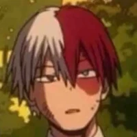 Todoroki Shoto