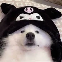 TG thiếu muối😉