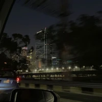 meo đần (nhỏ tác giả)