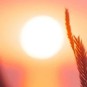 nhân vật bí ẩn