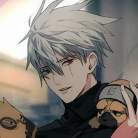 Hatake Kakashi 