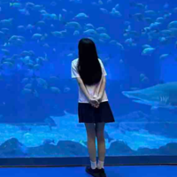 Tớ Là Tác Giả