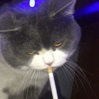 tg ác độc💢