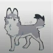 sói con 🐺