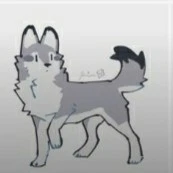 sói con 🐺