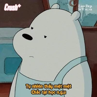 All mọi ng(trừ ai thì trừ)