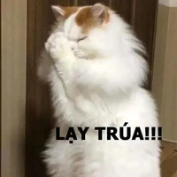 Phạm Thị Trúc Lâm 