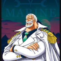 Monkey. D. Garp