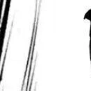 Nhân vật Bí ẩn(2)