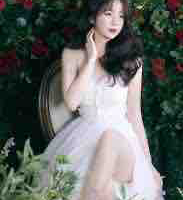 Yến xôi