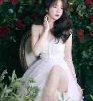 Yến xôi