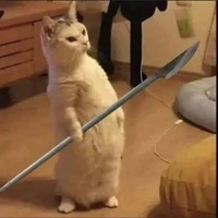 tác giả