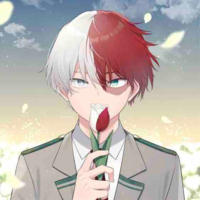Todoroki Shoto