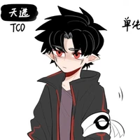 TCO(Toshik)