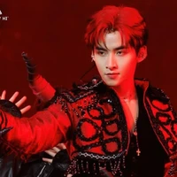 Tác giả lười vailonn