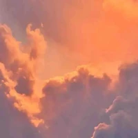 all [ lớp 12E5]