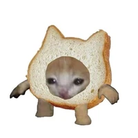 Tác giả