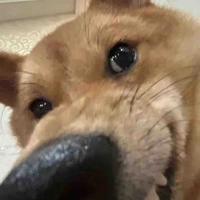 thấy trai đẹp bh chưa nò🤯?😏✨