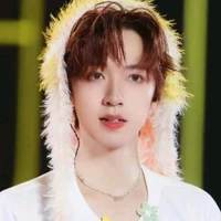 Hạ Tuấn Lâm