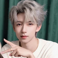 Hạ Tuấn Lâm