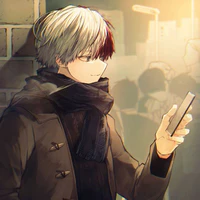 Todoroki Shoto ( Shoto )