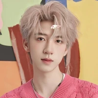 Hạ Tuấn Lâm
