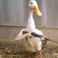 Ạp Ạp