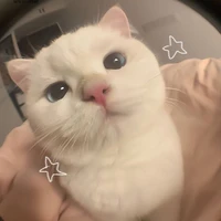 Tgiả iu các em