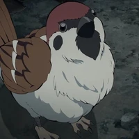 Ukogi