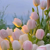 Thị trấn hòa bình