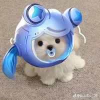 Zuu