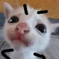 T/g cục súc