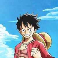 Monkey D. Luffy - 19t