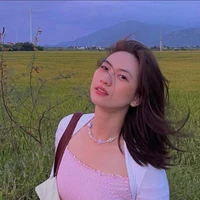 PHƯƠNG ANH ĐÀO